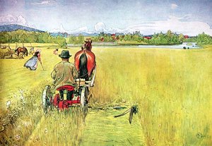 Verano de Carl Larsson
